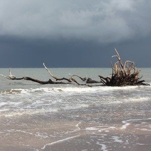 Meet your Posher, Abbie